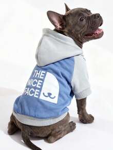 LUCKIE LABO 1pc Color Block "NICE FACE" Slogan & Pet Graphic Polyester Hoodie, Anti-Flea, Reduce Shedding, Warm & Breathable For Indoor/Outdoor Cat & Dog