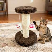 Árboles y casas para gatos - Marrón - Ver 2