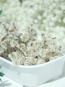 1 Box Mini Baby's Breath & Other Dried Flowers - For Resin Mold Art & Crafts, Ivory White Bouquet For Hair Accessories, Wedding Wreaths, Table Decor, Home Decoration - White (Crystal Grass) - View 4