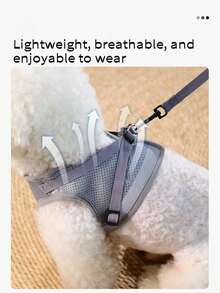 Breathable Christmas Gift Mesh Pet Harness With Reflective Leash, Adjustable Training Collar And Leash - Suitable For Cats And Dogs