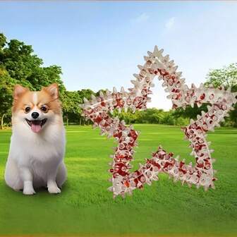 Ny 5-uddig stjärna, självunderhållande tuggleksak, TPR-material, tandrengöring, lätt att rengöra, flexibel, lämplig för katter och små/medelstora hundar