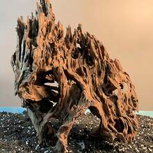 1 buc. Lemn plutitor mare, 25-30 cm, decor natural din lemn plutitor, coral, acvariu Aquascape, lemn plutitor - habitat realist pentru reptile și amfibieni cu ramuri cățărătoare, platformă pentru cuibărirea țestoaselor, decor pentru acvariu cu apă dulce sau sărată, aspect natural, lemn durabil, livrare aleatorie de decor pentru acvariu sud-american, rădăcini de bonsai, coarne de cerb, ramuri uscate de copac