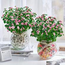 1000 buc Perle de umplere a vazei, pentru decorarea vazei, piese centrale pentru lumânări plutitoare, piese centrale de nuntă, decor floral, plantare fără sol. Numai pentru uz adulți (culori asortate)