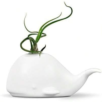 Fred 5229116 Fancy Ceramic Mini Air Plant Succulent Holder Regular Whale