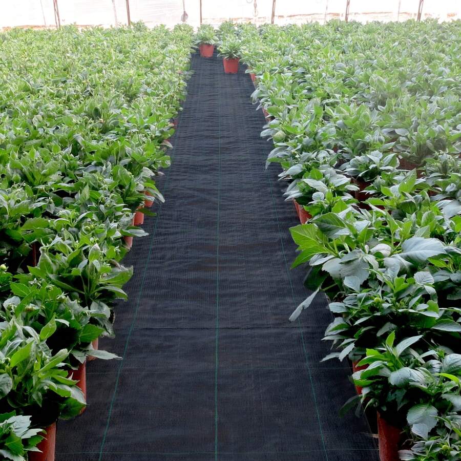 Shade Cloth - Pflanzzelte 6 x 300 Fuß - Voir 1