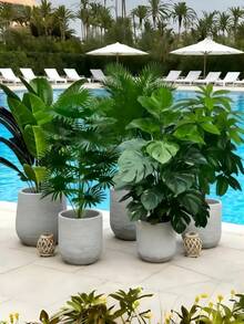 5pcs Set - Large Realistic Artificial Christmas Pine Tree, Includes 60 Big Leaves - Auspicious Palm Tree And Bird Of Paradise Plants, Suitable For Outdoor Use - Maintenance-Free Wide Leaf Decorative Tree, Year-Round Home Decor Potted Plant, Nordic Style Artificial Tree, Applicable For Weddings, Hotels And Other Occasions - Multicolor - View 2
