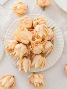 Light Champagne - 249