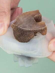 2pcs Cute 3D Bear Shaped Ice Cube Tray, Creative Ice Mold For Soda, Milk Tea, Coffee, Frozen Chocolate