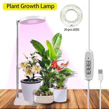 1 Stück LED Vollspektrum Pflanzenwachstumslicht mit 3-Gang-Timer, verstellbarer Teleskopstange für Zimmergärtnerei, USB-betrieben, polierte Oberfläche, perfekt für Keimlinge und kleine Pflanzen, Pflanzenbeleuchtung für Zimmerpflanzen