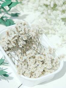 1 Box Mini Baby's Breath & Other Dried Flowers - For Resin Mold Art & Crafts, Ivory White Bouquet For Hair Accessories, Wedding Wreaths, Table Decor, Home Decoration - White (Crystal Grass) - View 3