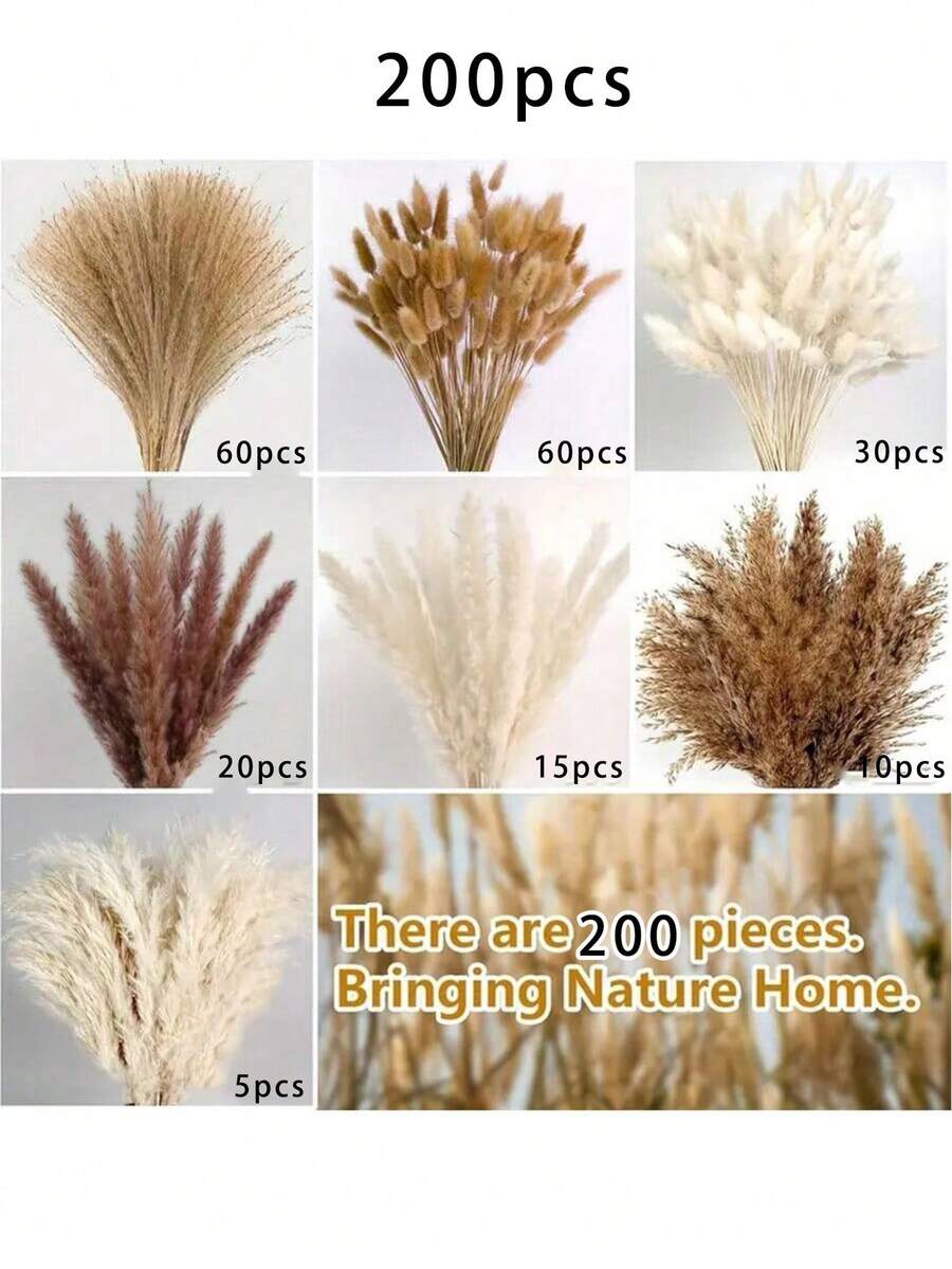 25/50/100/130/150/200 piezas Decoración de juncos secos, ramo de flores secas, para boda, hogar, centro de mesa, hogar moderno, sala de estar occidental, oficina y decoración bohemia, hierba pampa esponjosa, hierba alta, decoración de plumas naturales, adecuado para boda, mesa del hogar, decoración de fiesta de granja, regalo del Día de la Madre, relleno de canasta de Pascua