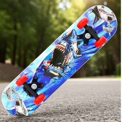 Skateboard a 4 ruote per principianti, adulti e adolescenti, tavola da skate professionale unisex