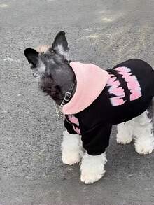 适合小型/中型犬猫、贵宾犬和泰迪熊犬等品种的保暖连帽卫衣，秋冬季宠物服装 - 黑色 - 查看 4