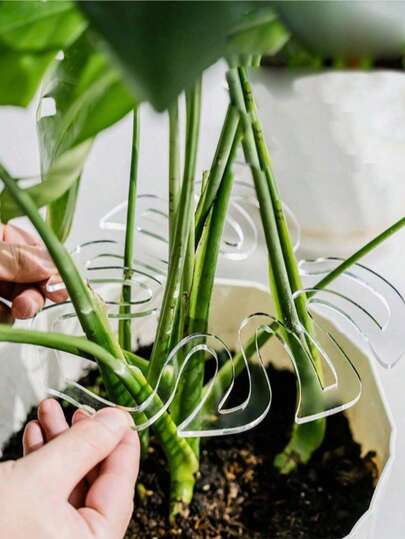 Anéis de Suporte Transparentes para Plantas - Estacas de Jardim de Plástico Durável para Plantas Trepadeiras, Ideal para Suporte de Bambu e Videira, Treliça de Flores para Jardinagem e Cuidados com o Gramado - Para Jardineiros e Amantes de Plantas - Adequado para Uso Interno e Externo - Ótimo Presente para Entusiastas de Plantas, Suportes Anti-Acamamento, Plantas Verdes, Cordas de Plástico para Fixação (Entrega Aleatória de Estilos)