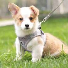 Breathable Christmas Gift Mesh Pet Harness With Reflective Leash, Adjustable Training Collar And Leash - Suitable For Cats And Dogs