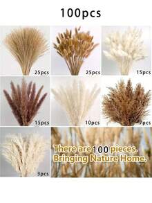 25/50/100/130/150/200 piezas Decoración de juncos secos, ramo de flores secas, para boda, hogar, centro de mesa, hogar moderno, sala de estar occidental, oficina y decoración bohemia, hierba pampa esponjosa, hierba alta, decoración de plumas naturales, adecuado para boda, mesa del hogar, decoración de fiesta de granja, regalo del Día de la Madre, relleno de canasta de Pascua