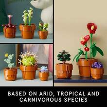 LEGO Botanicals Tiny Plants - Artificial, Fake Indoor Plant Building Set For Home, Kitchen, Desk Decoration, Adults Ages 18+ - Gift For Birthdays - 10329