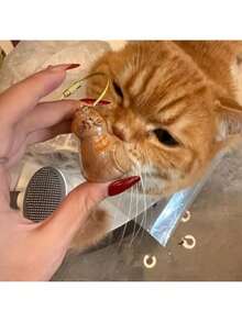 1 Transparent Hair Storage Capsule - Cute Expression Eyeball Design With Chain - Suitable Collars, Clips, Combs - Organize Desktop Or Shelf Decoration - Essential Indoor Cats, Pet Accessories, Fun Design, Durable Material, Bright Colors - Little Eight Cats - View 1