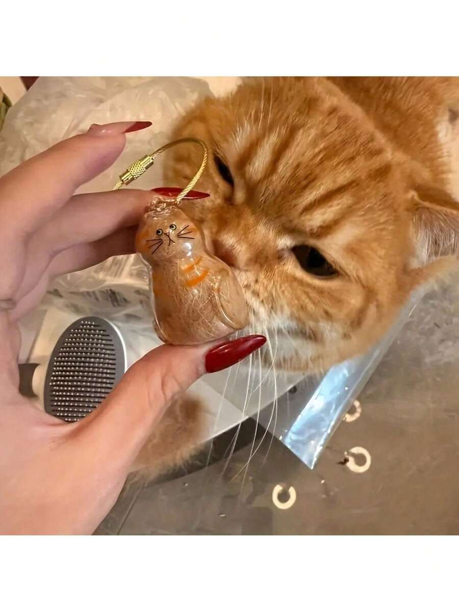 1 Transparent Hair Storage Capsule - Cute Expression Eyeball Design With Chain - Suitable Collars, Clips, Combs - Organize Desktop Or Shelf Decoration - Essential Indoor Cats, Pet Accessories, Fun Design, Durable Material, Bright Colors - Little Eight Cats - View 1