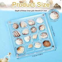 1pc - 36 Grid Acrylic Shell Display Box, Rhinestone Gem Earrings Jewelry Transparent Display Case, Jewelry Storage Display Box, Jewelry Box, Jewelry Case, Decorative Storage Space For Starfish, Shell, Gems And Crafts - Multi-Functional Storage Box With Magnetic Closure, Transparent Display Box, Suitable For Storing Rhinestones, Gems, Earrings, Rings And Jewelry, Perfect For Jewelry Storage And Display, No Power Required Storage Box, Great For Home Decor And Beach Theme Display Back To School