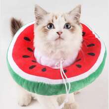 Pet Recovery Collars & Cones - Orange - View 5