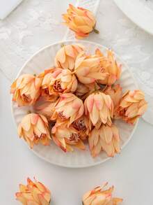 Pinkish-orange - 253