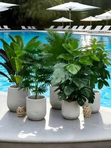 5pcs Set - Large Realistic Artificial Christmas Pine Tree, Includes 60 Big Leaves - Auspicious Palm Tree And Bird Of Paradise Plants, Suitable For Outdoor Use - Maintenance-Free Wide Leaf Decorative Tree, Year-Round Home Decor Potted Plant, Nordic Style Artificial Tree, Applicable For Weddings, Hotels And Other Occasions - Multicolor - View 3