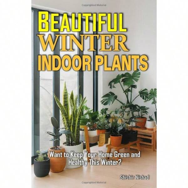 Beautiful Winter Indoor Plants: LowMaintenance Houseplants For Winter Wellness AirPurifying Indoor Greenery That Thrives In Cold Weather And... For Small Spaces And Indoor Plants Guide