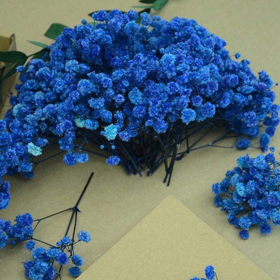 20/50/100/150/300pcs Ivory White Mini Gypsophila And Other Dried Flowers - For Resin Mold Art And Crafts, Suitable For Hair Accessories, Wedding Wreaths, Tabletop Decor, Home Decoration - Royal Blue - View 1