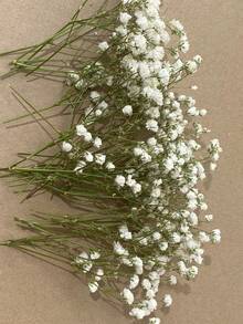 110支白色迷你干花花束 - 非常适合DIY装饰、贺卡、婚礼、家居和办公室装饰