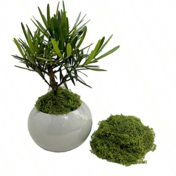 200g Artificial Moss Soft Breathable Fake Moss For Indoor Plants Natural Green  Faux Moss For Planters Musgo Artificial Para Macetas Decorative Garden Landscaping Supplies
