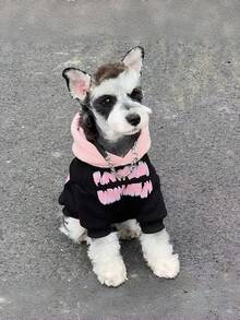 适合小型/中型犬猫、贵宾犬和泰迪熊犬等品种的保暖连帽卫衣，秋冬季宠物服装 - 黑色 - 查看 1