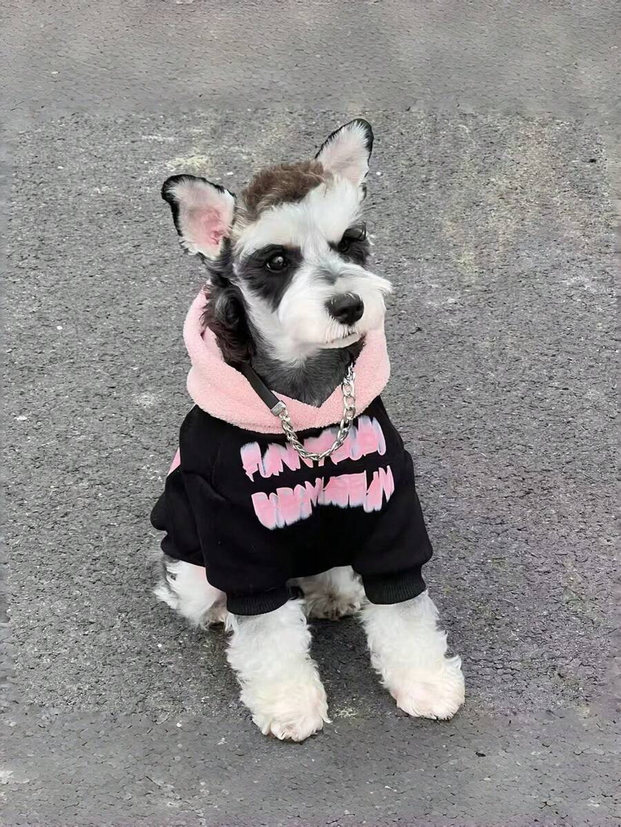 适合小型/中型犬猫、贵宾犬和泰迪熊犬等品种的保暖连帽卫衣，秋冬季宠物服装 - 黑色 - 查看 1