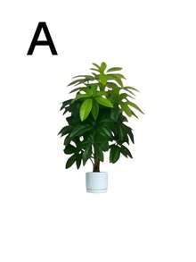 5 件套 - 大型逼真人造植物圣诞松树套装，含 60 片大叶子 - 寓意吉祥的棕榈树和天堂鸟植物，适合户外使用 - 免维护宽叶装饰树，全年家居装饰盆栽，北欧风格人造树，适用于婚礼、酒店等场合 - 彩色 - 查看 11