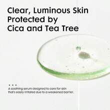 Tea Tree Extract, Deep Hydration And Barrier Repair, Improves Skin Quality, Enhances Radiance, Improves Overall Skin Tone, Soothes And Calms, Reduces Redness, Nourishes Skin, Suitable For All Skin Types. - 1004 Tea Tree Essence - View 7