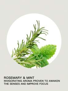 Aveda Invati Ultra Advanced 去角质洗发水/迷迭香薄荷净化洗发水/Shampure 滋养洗发水 1L - 1L-迷迭香薄荷 - 查看 5