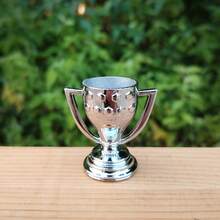 体育奖杯桌面摆件/装饰品，适用于英超联赛、金球奖、欧洲杯、足总杯等体育赛事纪念品，可作书挡装饰或小礼物。 - 金色 - 查看 13