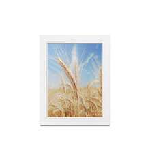 Cadre photo minimaliste en tailles et couleurs multiples (le motif est seulement à titre de référence, livraison aléatoire du papier photo), convient à la décoration de la maison, du salon, du bureau d'étude, des centres de décoration, des bureaux, pour un montage mural ou un placement sur le bureau, utilisé pour afficher des photos de paysages, de portraits, d'animaux, etc.