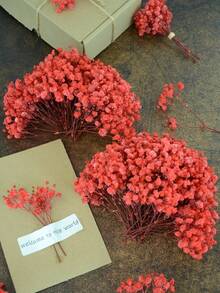 20/30/49/99/299 piezas Flores secas de Nube de Bebé y otras - Para moldes de resina, arte y manualidades, ramos florales blancos marfil para accesorios para el cabello, coronas de boda, decoración de mesa, decoración del hogar - rojo - Ver 1