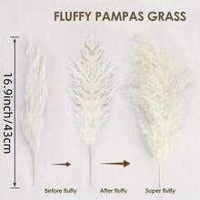 48/68支波西米亚风芦苇草花束 - 非常适合婚礼、生日、派对和节日装饰，也是客厅、办公室和农舍风格餐桌的理想装饰品