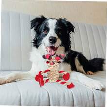 GANAZONO Juguete De Navidad para Perros Juguete Chirriante De Reno Suave y Duradero para Mascotas Pequeñas y Medianas Estimula La Inteligencia y Diversión Fiestas Navideñas - 1 - Ver 4