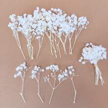 20/50/100/150/300 件迷你满天星及其他干花 - 用于树脂模具艺术和手工艺品，象牙白色花束，用于发饰、婚礼花环、餐桌装饰、家居装饰 - 白色 - 查看 2