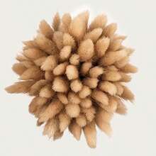 Cails de Conejito Hierba Natural de Flores secas Bouquet Pampas Vase de Planta Decoración de 50 Piezas(1)(default) - Multicolor - Ver 3