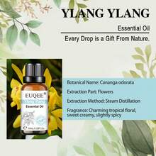 1pc 10ml Essential Oils EUQEE For Soap, Candle Making,Diffuser, Humidifier, Massage ,Bath Sleep Relaxation-Lavender/Eucalyptus/Peppermint/Sweet Orange/Tea Tree/Lemongrass(0.33fl.Oz) - Multi Scents - View 10