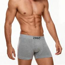 Kit 5 Cuecas Boxer Zrbo Masculina Original Lisa Algodão - Cinza - Visão 6
