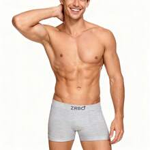 Kit 5 Cuecas Boxer Zrbo Masculina Original Lisa Algodão - Cinza - Visão 3