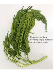 5pcs Elegant Preserved Wisteria Vine - Dried Flowers, Suitable For Wedding Bouquets, Wall Decor And Home Accents - Green - View 2