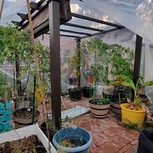 1pc Heavy-Duty Clear PE Greenhouse Film - UV Resistant, High Light Transmission For Even Plant Growth & Frost Protection