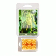 Derretidos de cera perfumada, cubos de cera de soja para calentador de cera con aroma intenso, juego de regalo de derretidos de vela, higo, fresa, bergamota, limón, lavanda, ylang-ylang, flor de cerezo, gardenia