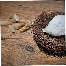 Cails de Conejito Hierba Natural de Flores secas Bouquet Pampas Vase de Planta Decoración de 50 Piezas(1)(default) - Multicolor - Ver 5